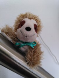 Elvis mit Schleife